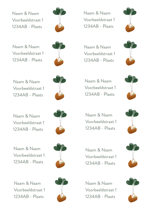 Adressticker ballonnen | 94 x 45 mm